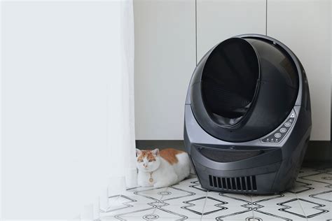 litter robot 3 release date